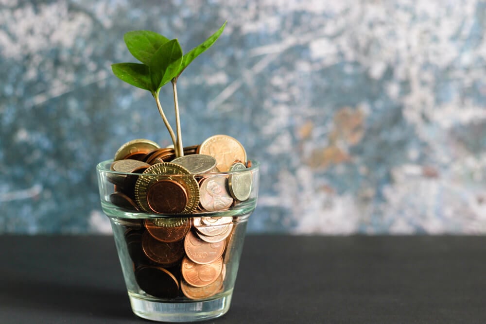 investments plant grow